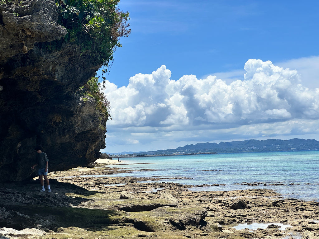 Full Day Tour Guide of Iejima